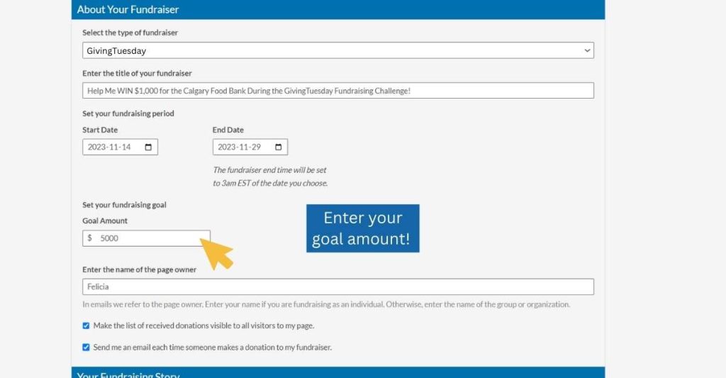 6. Set your fundraiser goal