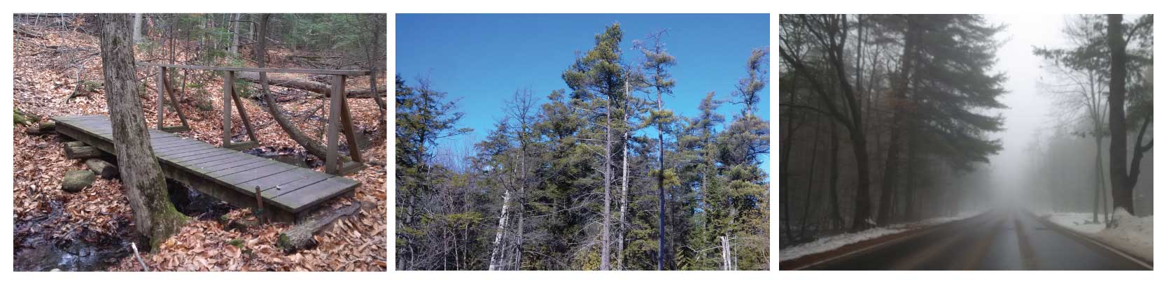 Oak Ridges Trail Association Collage