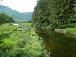 Salmon River