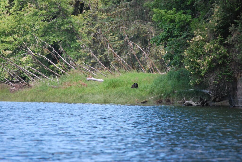 Salmon River Board Tour 5