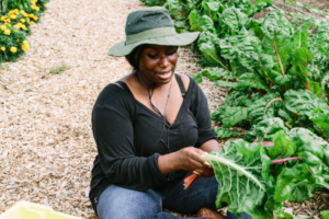 A woman sitting cross legged in a field gathering lettuce leaves